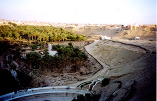 La Corbeille de Nefta Tunisie