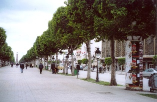 avenue habib Bourguiba à Tunis