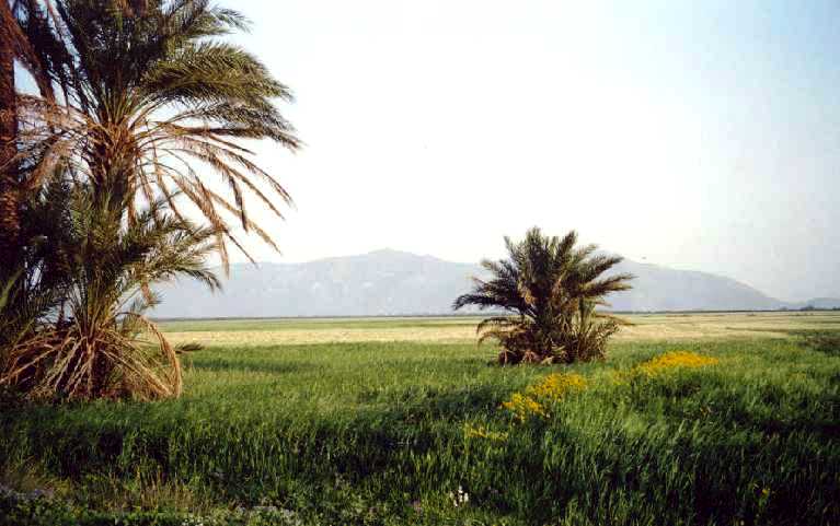 Tunisie: parc protégé Ichkeul