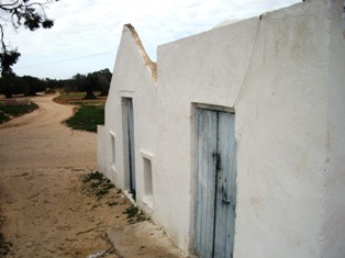 Habitation  Djerba