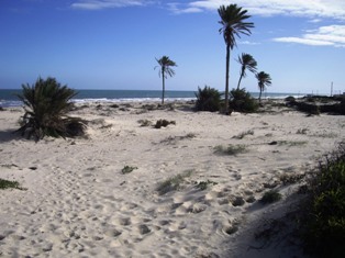 Plage de sable fin  El Kantara Djerba